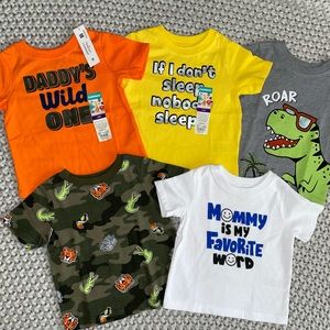12M Toddler Boys Clothing Bundle